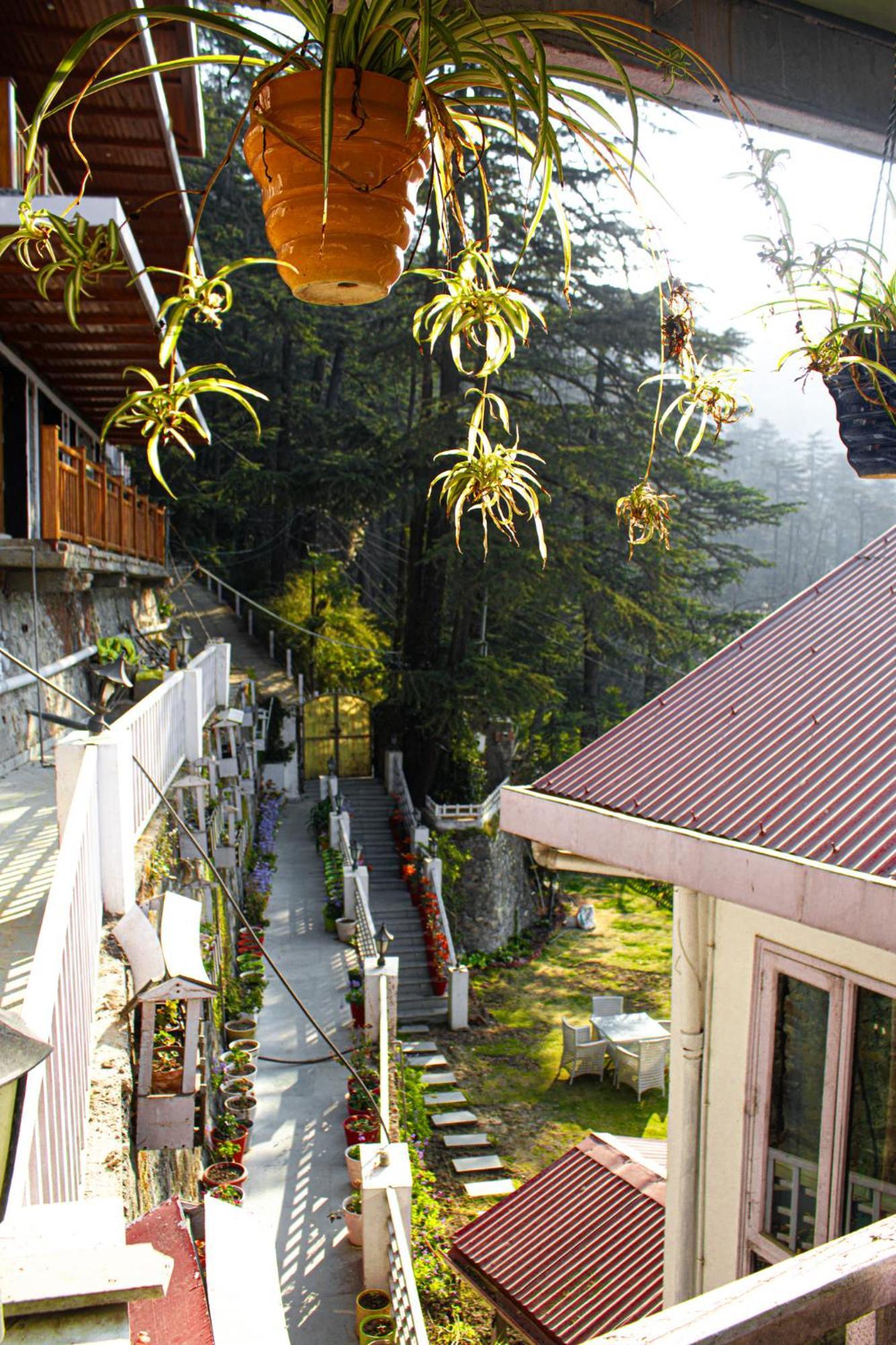 Whispering Pines Villa Shimla Bagian luar foto