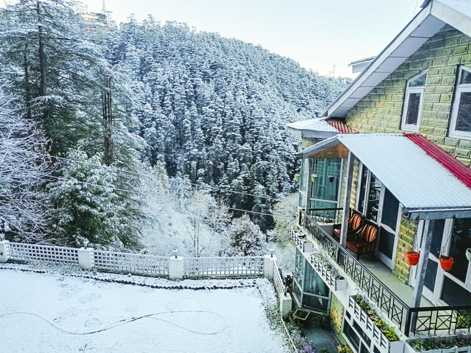 Whispering Pines Villa Shimla Bagian luar foto